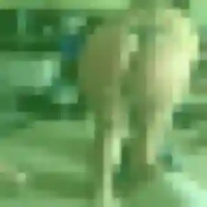Honorine, 43 ans, en ligne à Villers-lès-Nancy pour un rencontre adulte