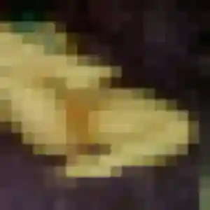 Sexy Leila, 45 ans à Wambrechies - voir sa photo